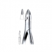 Extracting Forceps American Pattern